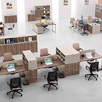 選擇朗哥，我們很放心