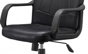 關(guān)于皮質(zhì)辦公椅的優(yōu)點(diǎn)你知道嗎？